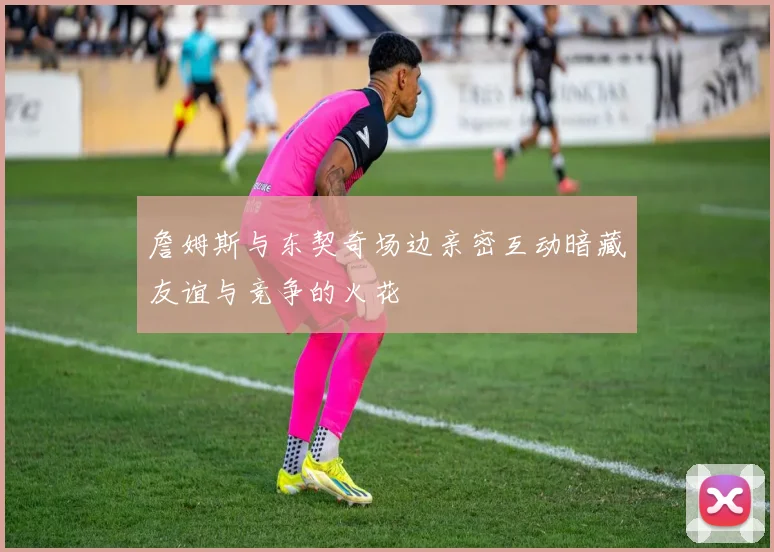 詹姆斯与东契奇场边亲密互动暗藏友谊与竞争的火花