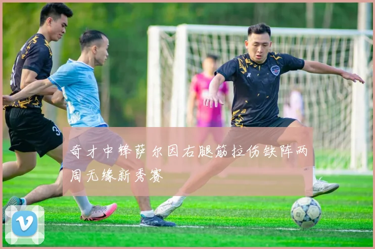 奇才中锋萨尔因右腿筋拉伤缺阵两周无缘新秀赛