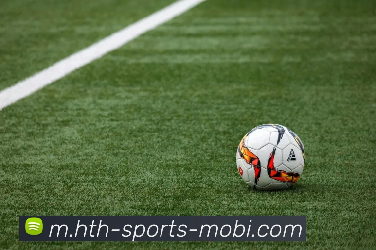 华体会体育平台生态图